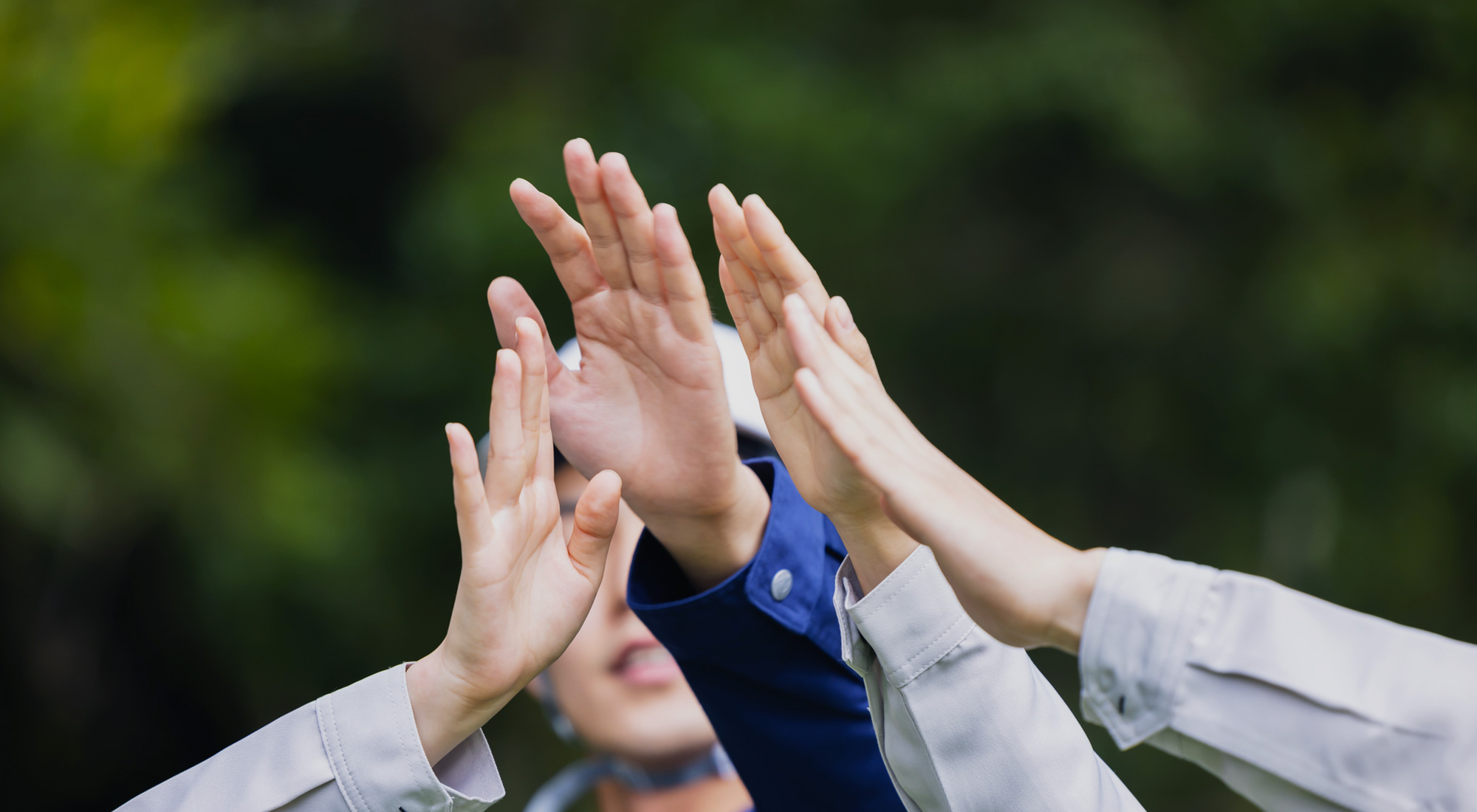 para_bg